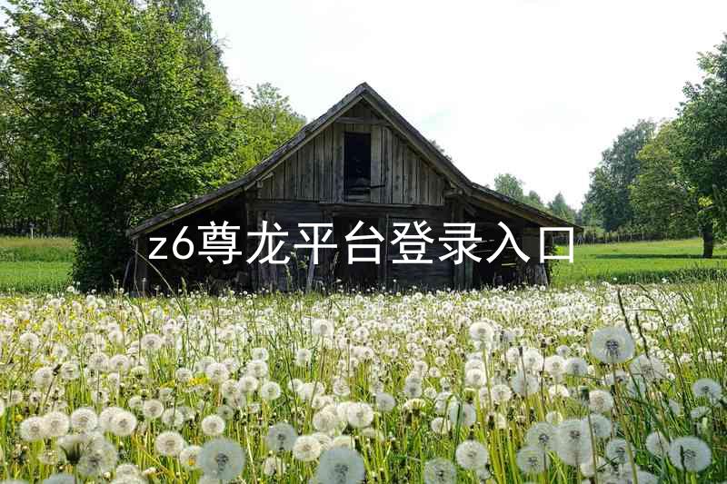 z6尊龙平台登录入口
