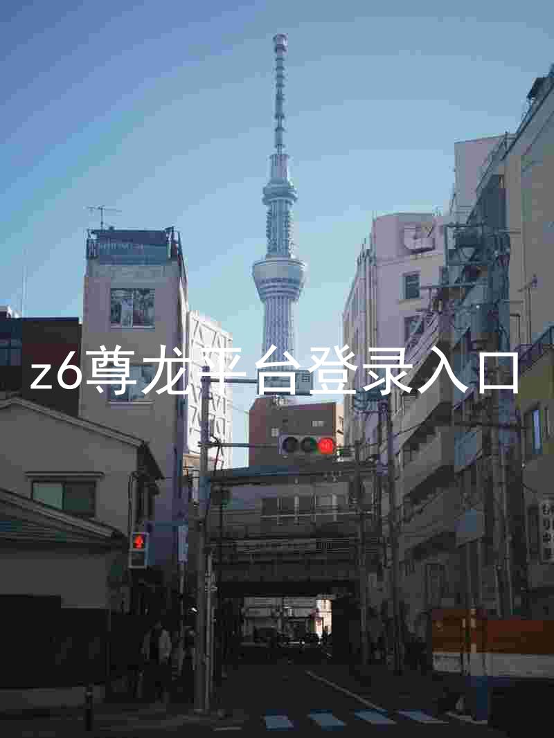 z6尊龙平台登录入口