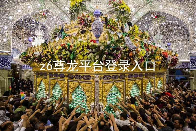 z6尊龙平台登录入口